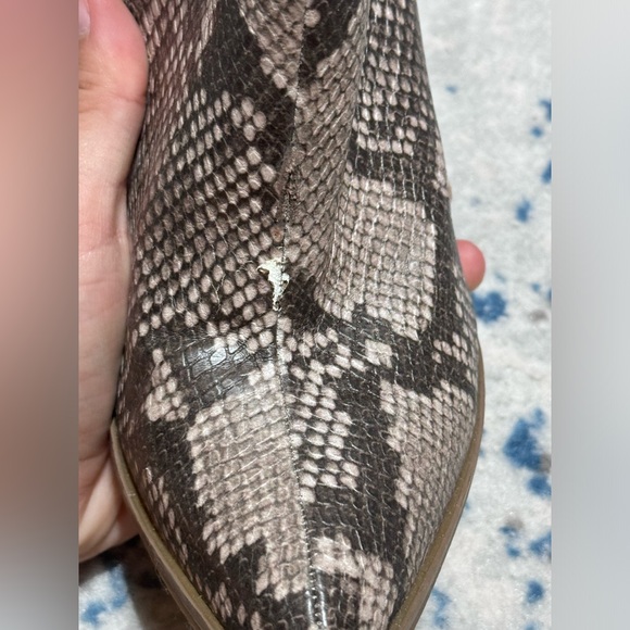 Carlos Snake Print Booties - Picture 6 of 7